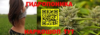 тгк Дубна