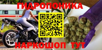 тгк Дубна